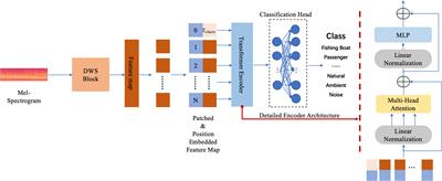 DWSTr: a hybrid framework for ship-radiated noise recognition